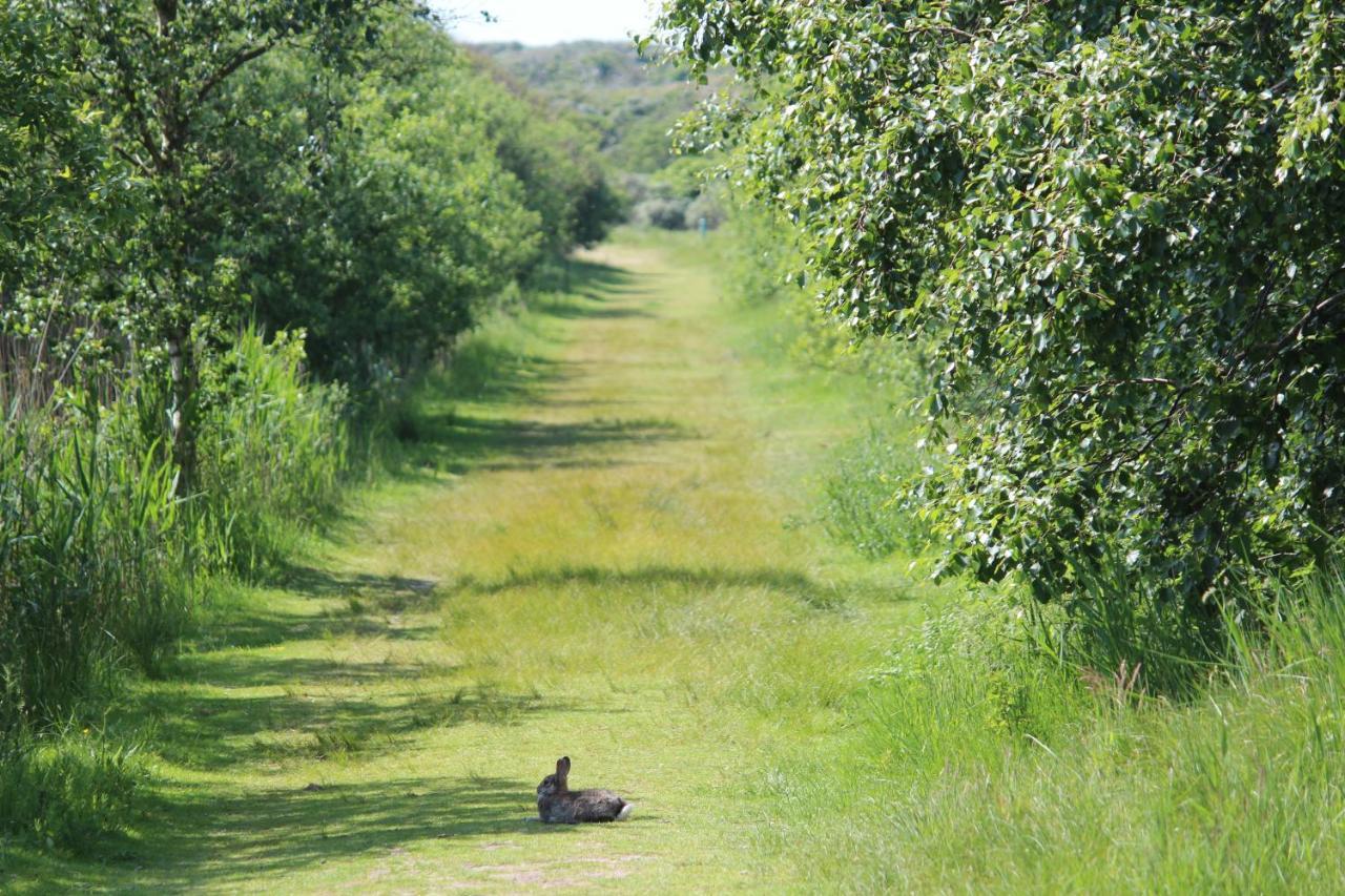 Seevilla Wietjes Whg 7 Baltrum Exterior foto